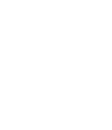全程