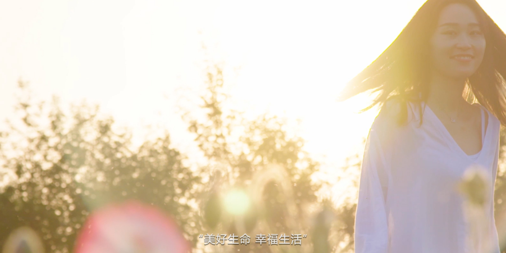 企业介绍
