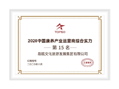 2020中国康养产业运营商综合实力